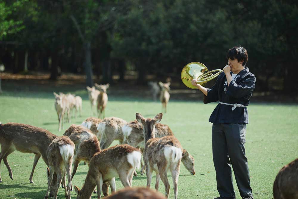 ホルンでたくさんの鹿を呼び寄せる「鹿寄せ」は、奈良公園で全5回行われる