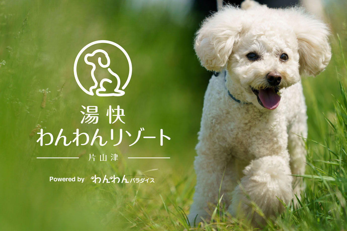 湯快リゾート 1棟まるごと愛犬と一緒に過ごせる「湯快わんわんリゾート片山津」3月20日登場
