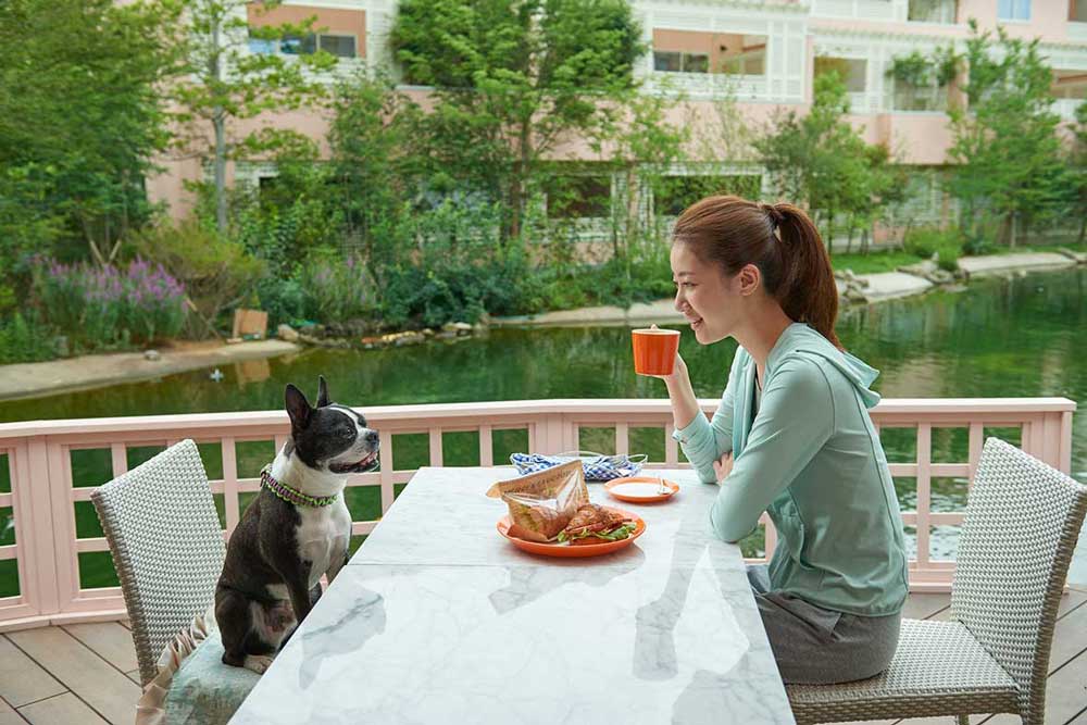 （株）ルーティングシステムズ　愛犬と泊まれる人気ホテル調査、「小谷流の里 ドギーズアイランド」が首位