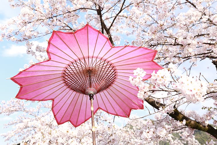 Gifu’s traditional Wagasa