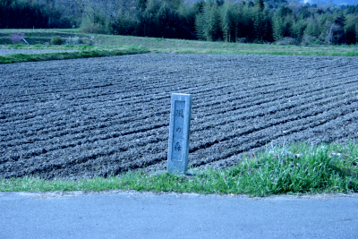 【コラム】旅のお酒、季節のお酒