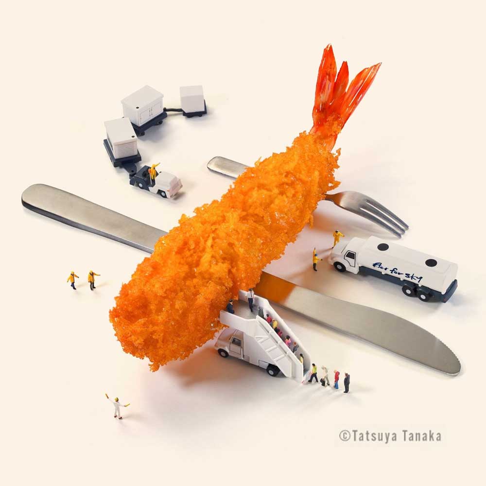 「Fry to Fly Project」イメージ
