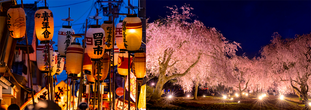 国の重要文化財である「丸岡城」エリアに咲き誇る桜を愛でる‟竹田の里しだれ桜まつり“や、北陸三大祭りのひとつである‟三国祭”。さらには‟三国花火“に‟三国湊かに祭り”、‟丸岡古城まつり“など、年間を通じてお祭りや伝統行事が開催されているのも坂井市の魅力だ
