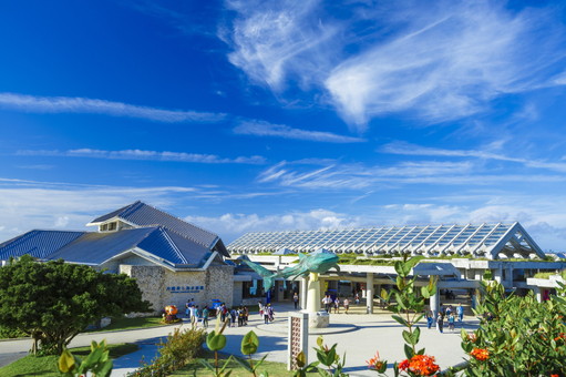 国営沖縄記念(海洋博公園)沖縄美ら海水族館 https://churaumi.okinawa