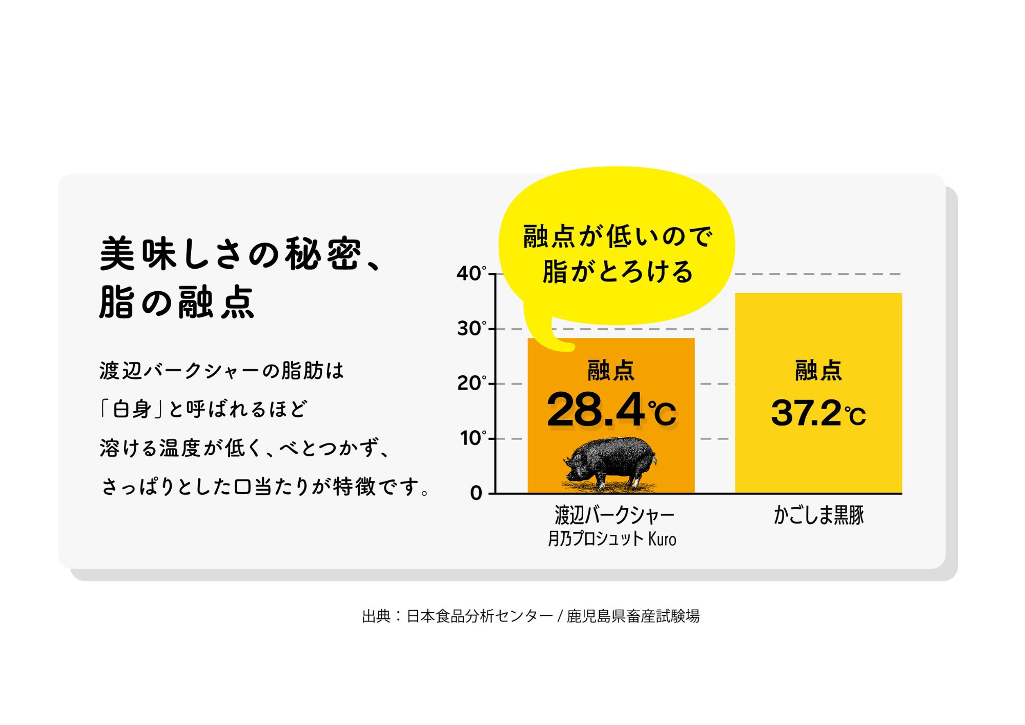 渡辺バークシャーは「融点」が低いのでうまみが違う
