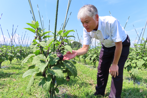 総料理長の上海 正博氏による地元生産者の視察風景