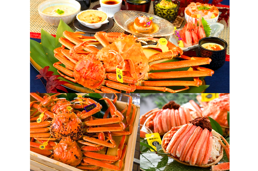 写真を見るだけでも心が華やかになるズワイガニ。画像下左は、献上蟹としても知られる雄の“三国港越前がに”。甲羅につくカニビル（茶色い円形の付着物）が多いほど、脱皮から時間が経っており、美味しいとされる。右の画像は雌の“三国港せいこがに”。13回の脱皮を経て成長するといわれ、外子はもちろん、赤いダイヤと呼ばれる内子も格別だ