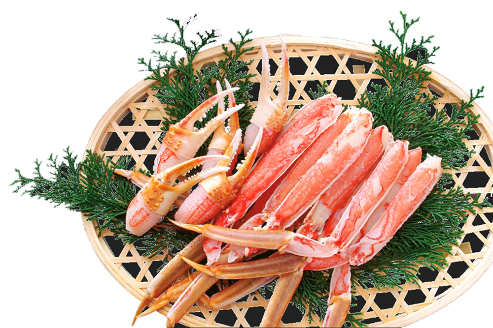 脱皮した直後のオスの越前がにである‟水ガニ“。口の中でとろける甘みと旨味、そして瑞々しい味わいが特徴で、身が傷みやすく保存がきかないため、流通量が極めて少なく、坂井に赴いてこそ食べられる希少な‟かに“グルメだ。市元では、殻からスボッと身が抜けるので‟ズボがに“とも言われている