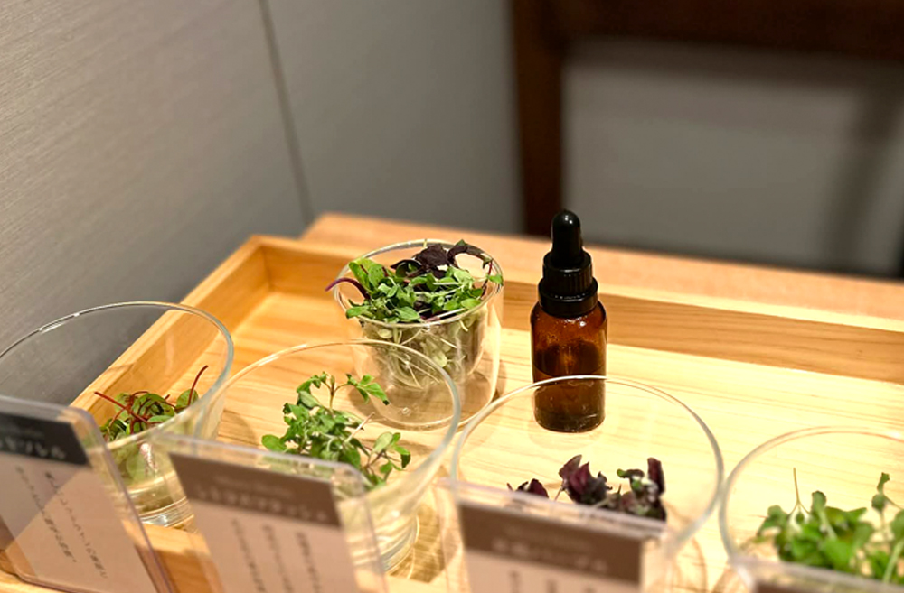 ‟村上農園のマイクロハーブのサラダ“。サラダと共にスポイト式の遮光瓶で提供されるドレッシングがオシャレだ