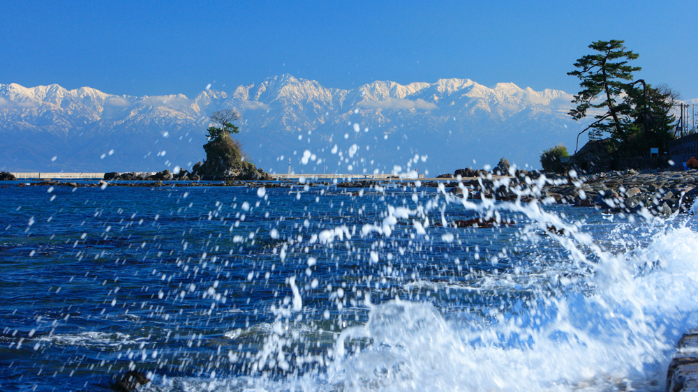 標高約3,000m級の立山連峰から、“天然のいけす”と呼ばれる水深約1,000mの富山湾へ。標高差4,000mを有する同湾には、日本海に生息する魚種約800種類のうち、500種類が集まるといわれている。さらに、深海底が海岸近くまで迫っていることから、セリにかけられる魚介類は水揚げ後、漁港に到着するまでの時間が短く、鮮度が特に高いことでも知られる