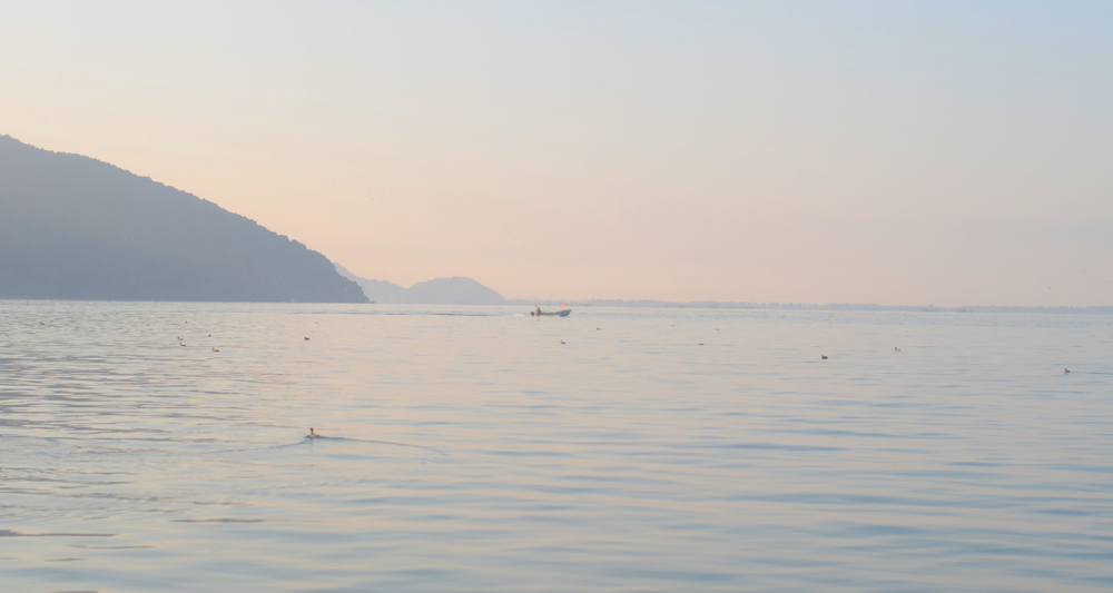 日本一大きい湖である琵琶湖を中心に、山・里・湖がつながる滋賀県では、古から資源管理を意識しながら受け継がれてきた伝統的な漁業や、環境に配慮した農業が長く営まれてきた。こうした風土の中で育まれた、琵琶湖と共生する農林水産業の仕組みは‟琵琶湖システム“と呼ばれ、世界農業遺産にも認定されている（写真提供：江六前一郎氏）