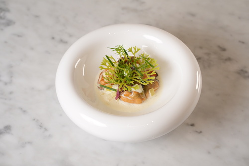 前菜 「“予感” ムール貝とヴィシソワーズ」